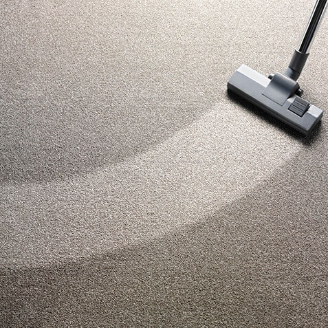 Carpet being cleaned | Flooring 101