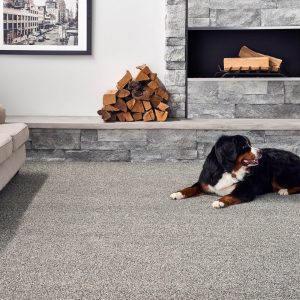 Dog near a fireplace | Flooring 101