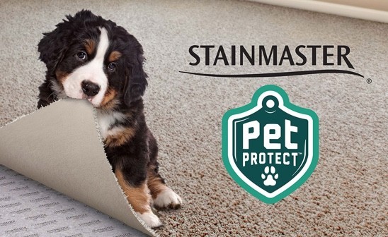 stainmaster_img