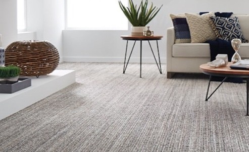 Tuftex carpet in living room | Flooring 101