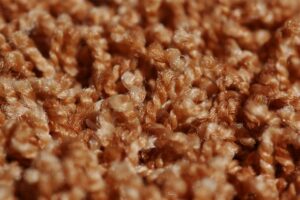 Carpet Construction | Flooring 101