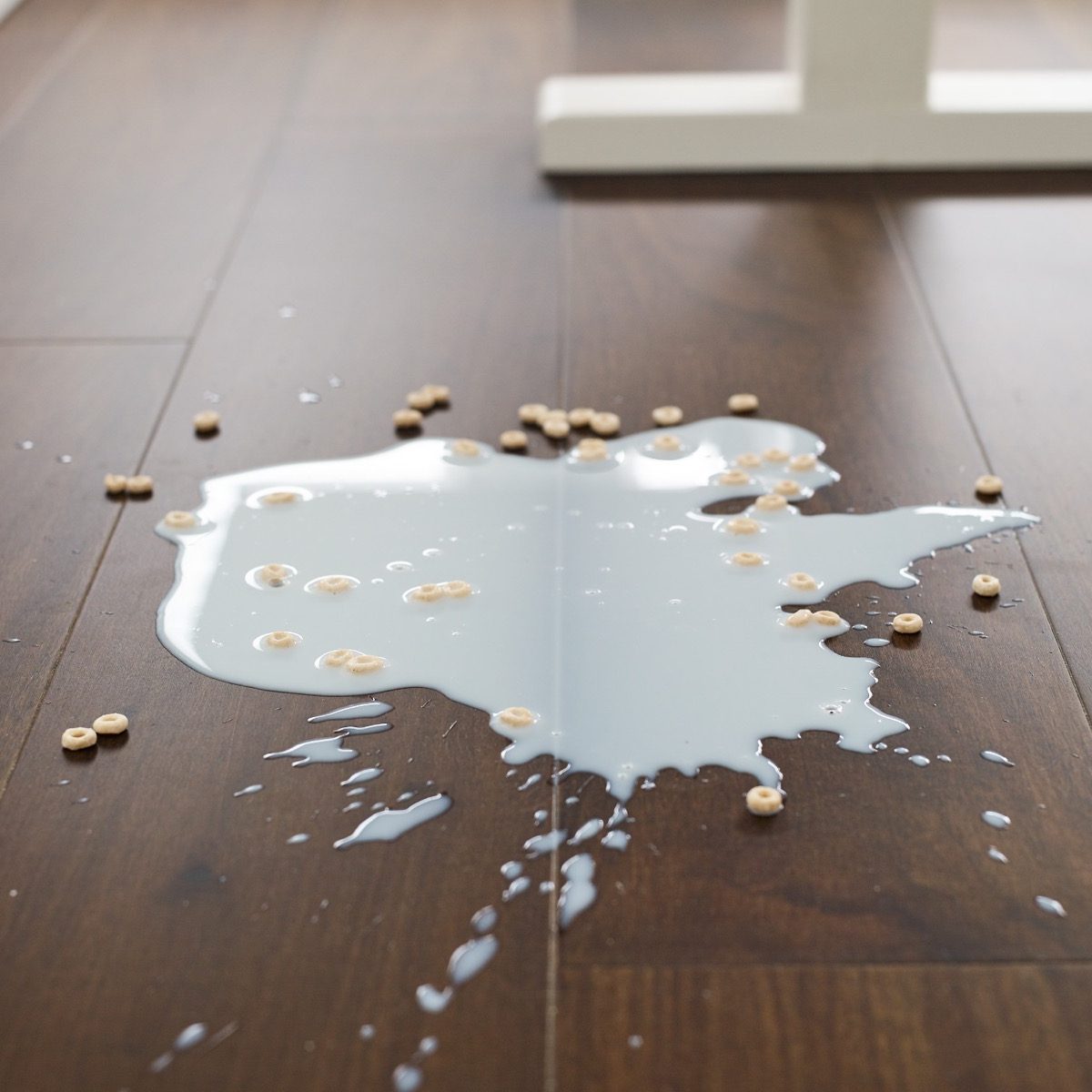 Cereal spill on the floor | Flooring 101